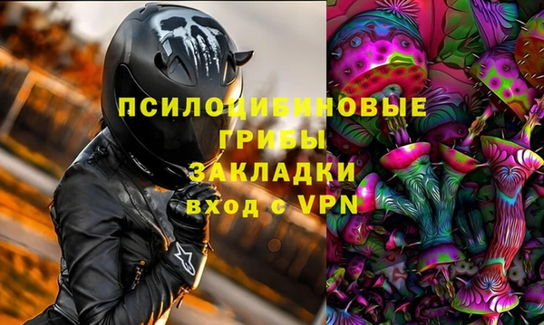 бошки Абаза